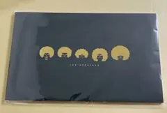 映画 スペシャルズ パンフレット 1冊 未開封