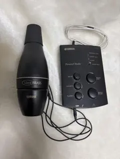 Item thumbnail for item 43a5a7ef-6f44-4627-ab5a-43dda0386b86