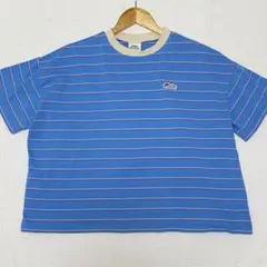 Bouncy ストライプ Tシャツ 刺繍 ブルーブルーエ