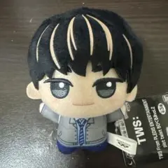 TWS トゥアス ドフン DOHOON ちびぐるみ ぬいぐるみ twist - メルカリ