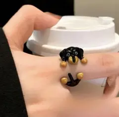 ダックスフンド 犬用品