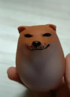しばこ　柴犬 卵型 硬め