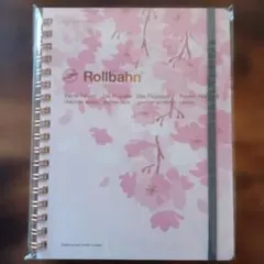 Item thumbnail for item 59399e91-d9ac-47b7-a47d-701033605048