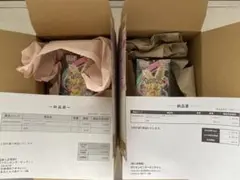 新品未開封 ポケセン産 2BOX MEGAドリームex シュリンク付き