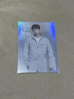 SEVENTEEN ode to you トレカ　ウォヌ　14