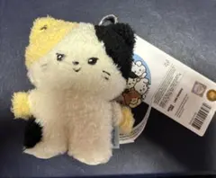 リニニ メッセージぬいぐるみキーリング リッキー ゼロベースワン