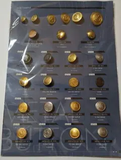 Item thumbnail for item dbfe0698-4d6b-47b5-9ca1-94cc79b54304