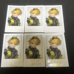 ユウQウィルソン チェキ風写真 6枚セット