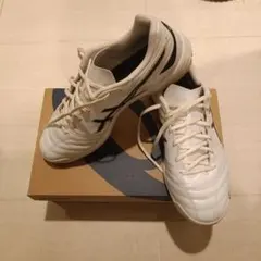 【美品】ASICS サッカースパイク DS LIGHT CLUB TF WIDE