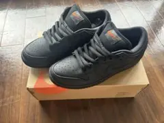 Nike SB Dunk Low Pro ISO 