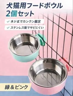 【S】ケージ用 フードボウル 2個セット緑&ピンク 犬用 猫用 餌入れ 水入れのサムネイル