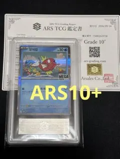 コイキング ARS10 韓国 PSA10相当 メガフェスタプロモポケモンカード②