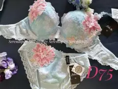 サルート D75/M 08G SX 中国音楽 牡丹のサムネイル