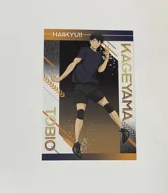 ハイキュー!! 特典 ポストカード（影山飛雄）