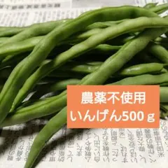 モロッコいんげん 野菜 500㌘～ - メルカリ