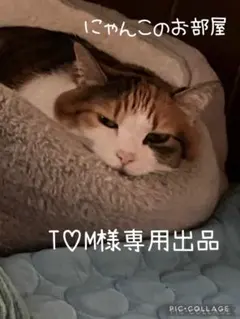 T♡M様専用出品