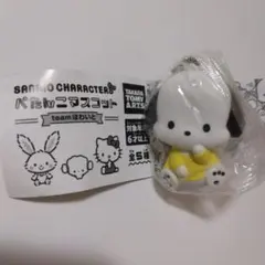 ポチャッコ サンリオ ぺたんこマスコット