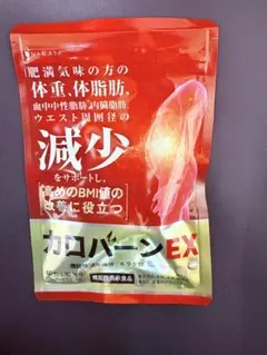 カロバーンEX 60粒 30日分