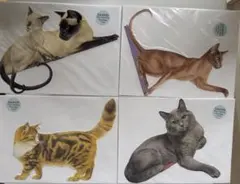 希少！ピーター・ワーナー 猫のダイカットカード等 豪華22枚セット 未開封