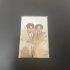 zb1 ゴヌク テレ ユニットトレカ