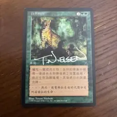 意志の力 プレイマット サイン入り MTG Terese Nielsen 意志の力 プレイマット サイン入り MTG Terese Nielsen テレッサ