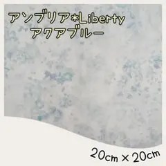 ☆ アンブリア リバティ liberty 生地 ハンドメイド はぎれ☆