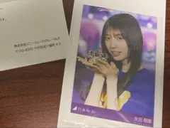 う*領様 乃木坂46 矢田 萌華 プレミアム生写真 サンキューライブ会場撮り下ろ