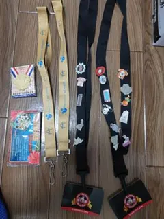 【激レア】ディズニー　アウラニ　ピンバッジ　ストラップ　シェフミッキー