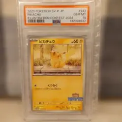 2025 ピカチュウ イラストコンテストカード 242/SV-P