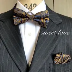 蝶ネクタイ ポケットチーフ２点セット/ネイビー＆イエローゴールドペイズリー H