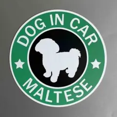 Item thumbnail for item 643a1c07-a126-47d2-8ade-5b362ca8e00d