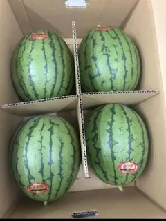 ぞうさん様専用】小玉スイカ1玉 黄色果肉 | Mercari