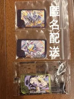 ポケモンフレンダ♡ブリジュラス♡メタグロス♡タケルライコ♡3枚セット