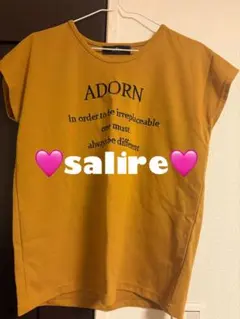 salireのサムネイル