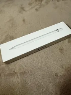 未使用 Apple Pencil ホワイト 専用ケース付き