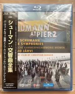 廃盤】ショート・ターム('13米) セル版 Blu-ray ブリー・ラーソン