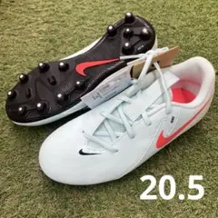 Item thumbnail for item 498083d6-1c0b-4067-ad41-990cc241bca8