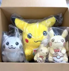 匿名配送】ピカチュウ ぬいぐるみセット 30周年記念 おかえり