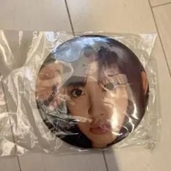 Item thumbnail for item 60a0cdc4-12c3-488a-b3e9-fbb54935b8ac