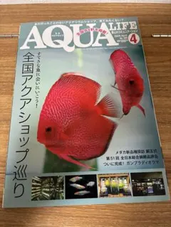 Item thumbnail for item 556da2d1-05ea-4620-973b-2ad391507e96