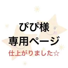 ぴぴ様　専用ページ