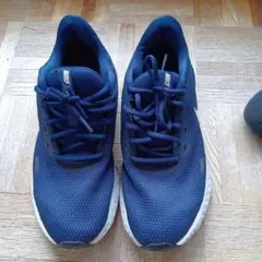ナイキ レボリューション5