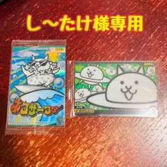 し～たけ様専用