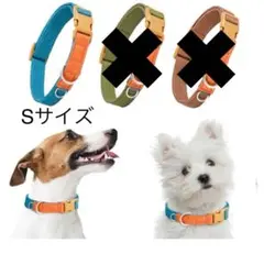 Item thumbnail for item 0eb9dba4-f676-4f50-9122-922a7c486798