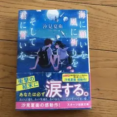 海に願いを 風に祈りを そして君に誓いを