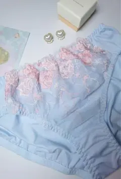 ブルー⭐️ピンクの花柄⭐️刺繍⭐️甘美⭐️優しい⭐️レディースショーツ