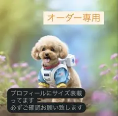 ともちん様専用です　犬服　ハンドメイド