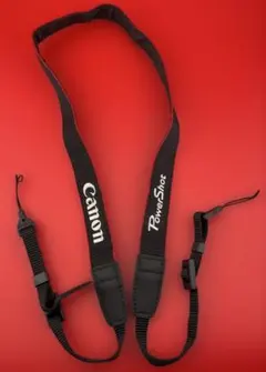 Item thumbnail for item 486085c9-d846-42b2-af0f-e541e8385548