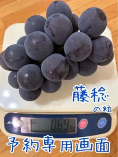 【ぽよちゃん様専用】藤稔の粒　箱込1kg弱