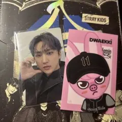 Stray Kids CHANGBINトレカ